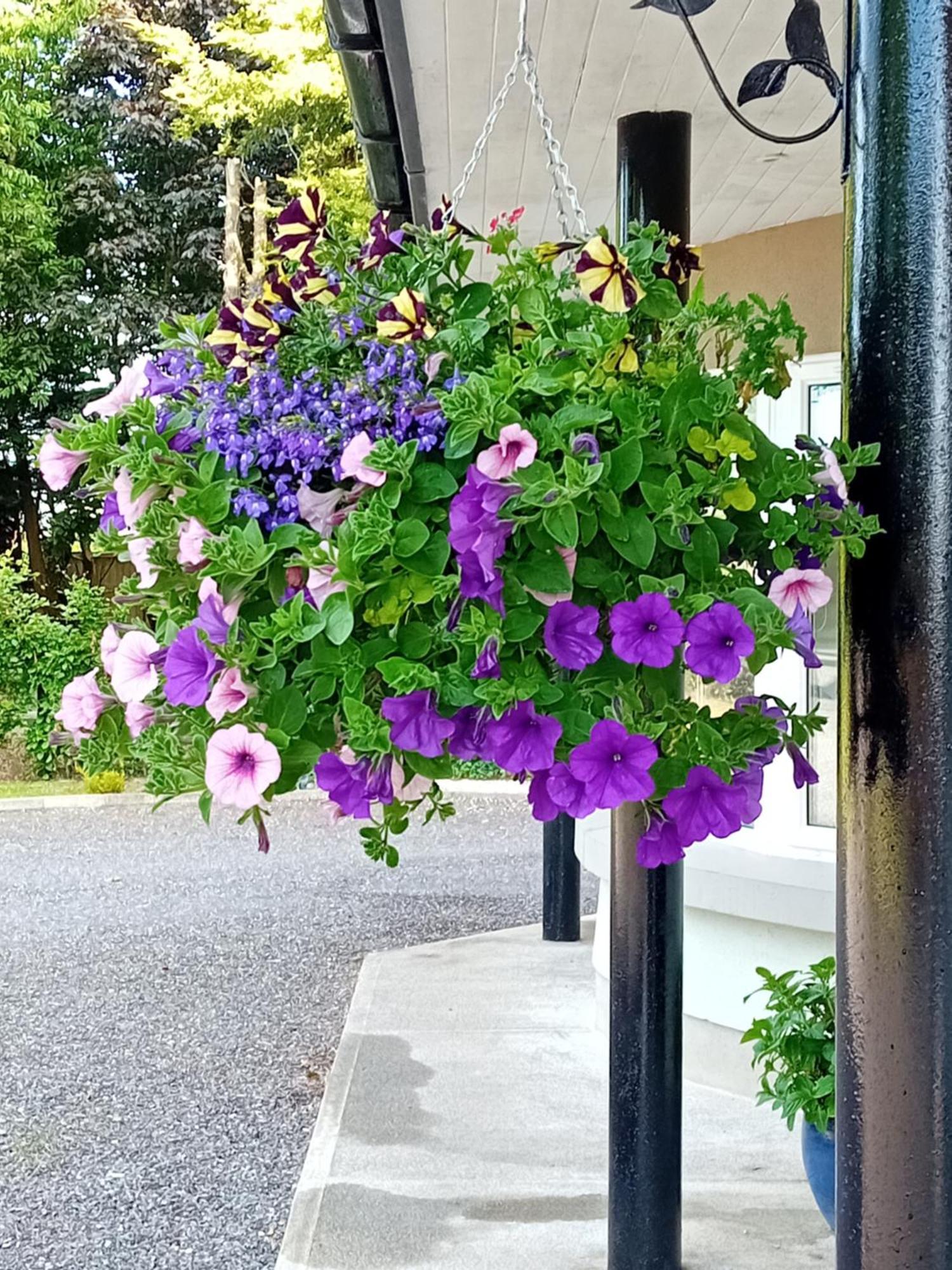 Gasthaus White Quarry Hse Quarry Road Navan Exterior foto
